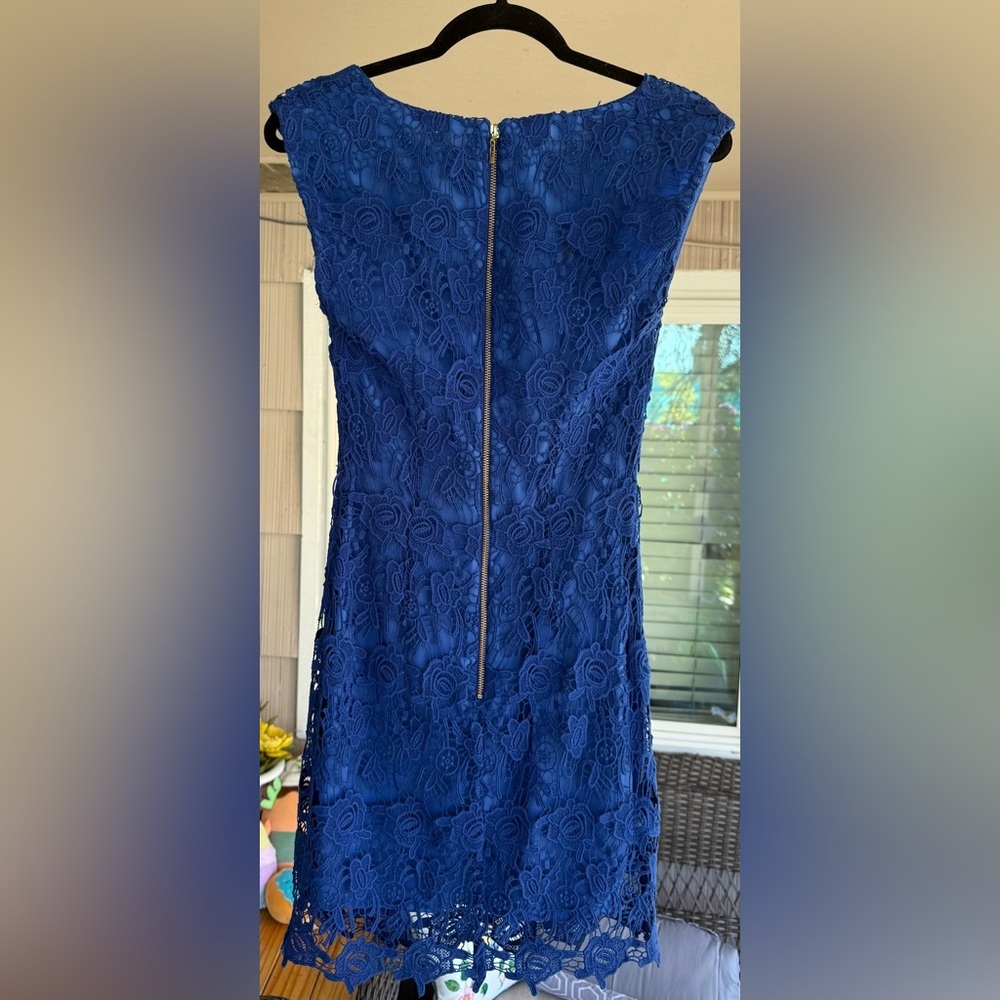 Mango Suit Royal Blue Floral Lace Sheath Dress Scalloped Hem Size 4 - Picture 6 of 11